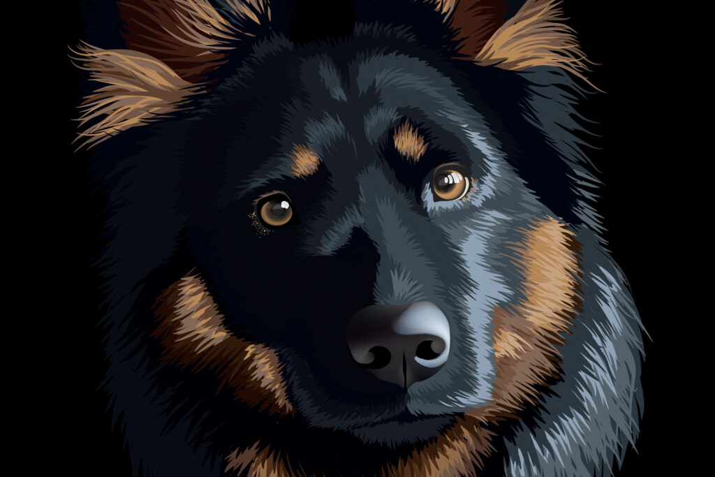 Illustration Infographic design Graphic Dog Ejmy