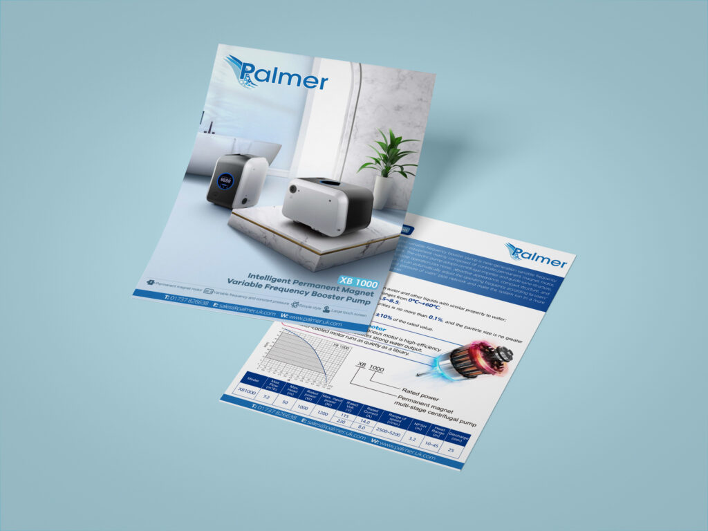 Flyer design advertising